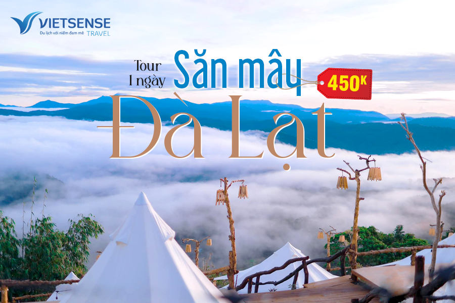 Tour du lịch săn mây Đà Lạt giá rẻ