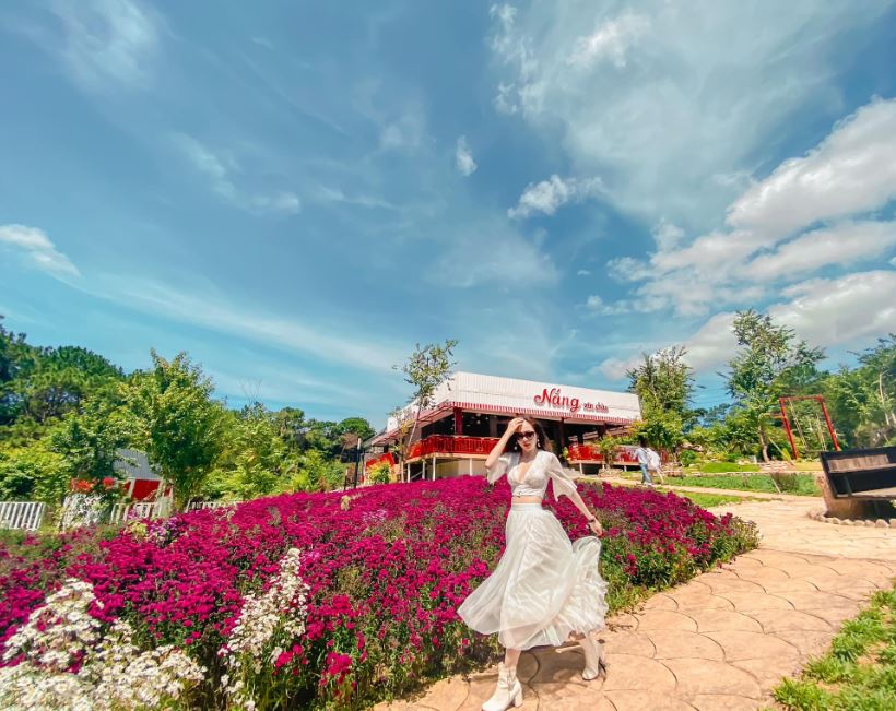 Tour du lịch săn mây Đà Lạt giá rẻ