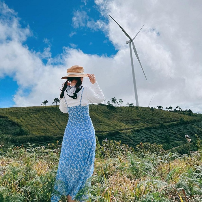 Tour du lịch săn mây Đà Lạt giá rẻ