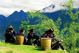 Tour Du Lịch Sapa 3 Ngày 2 Đêm Dịp Lễ 2-9