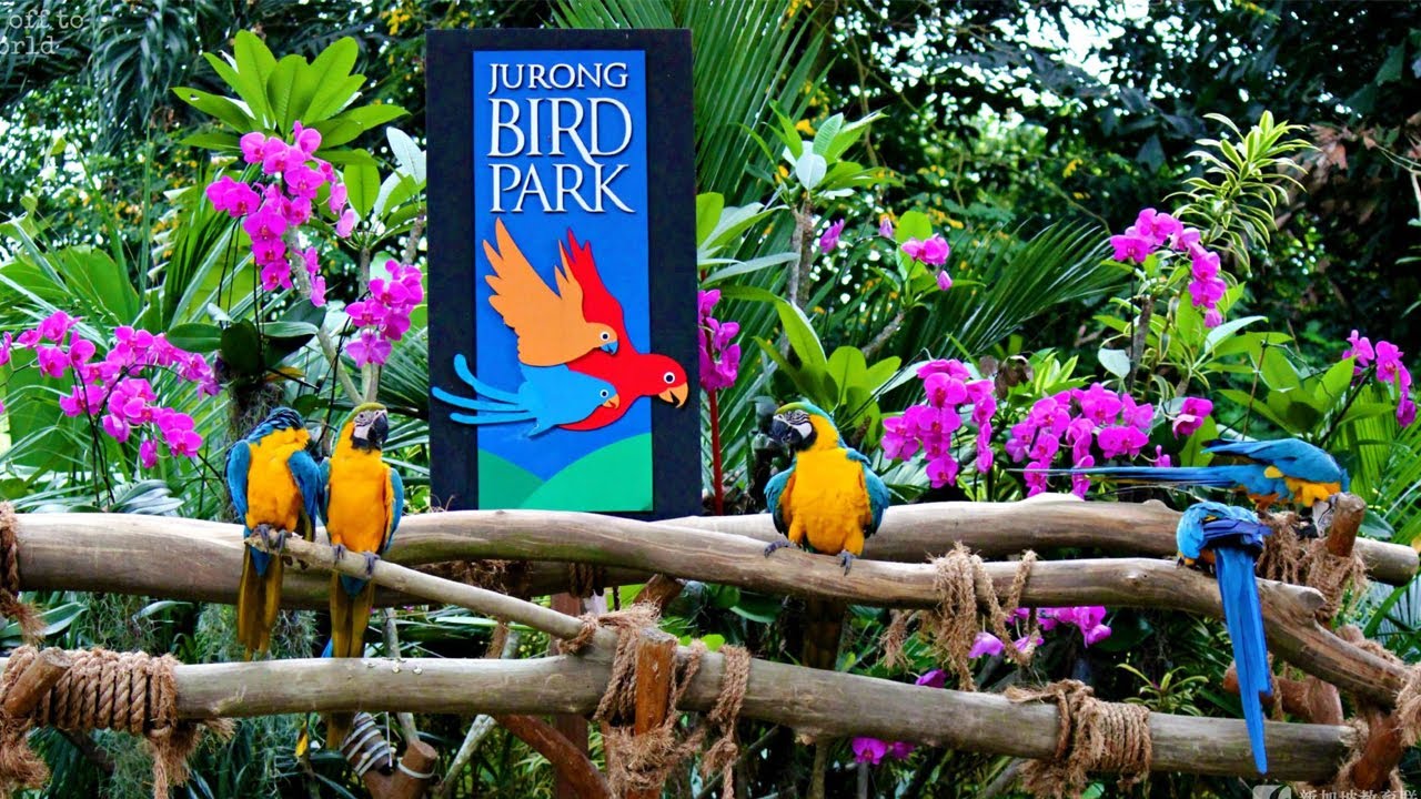 Tour Du Lịch Singapore 3 Ngày Giá Rẻ