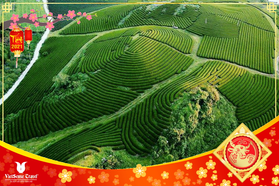 Tour Du Lịch Tây Bắc Tết Nguyên Đán