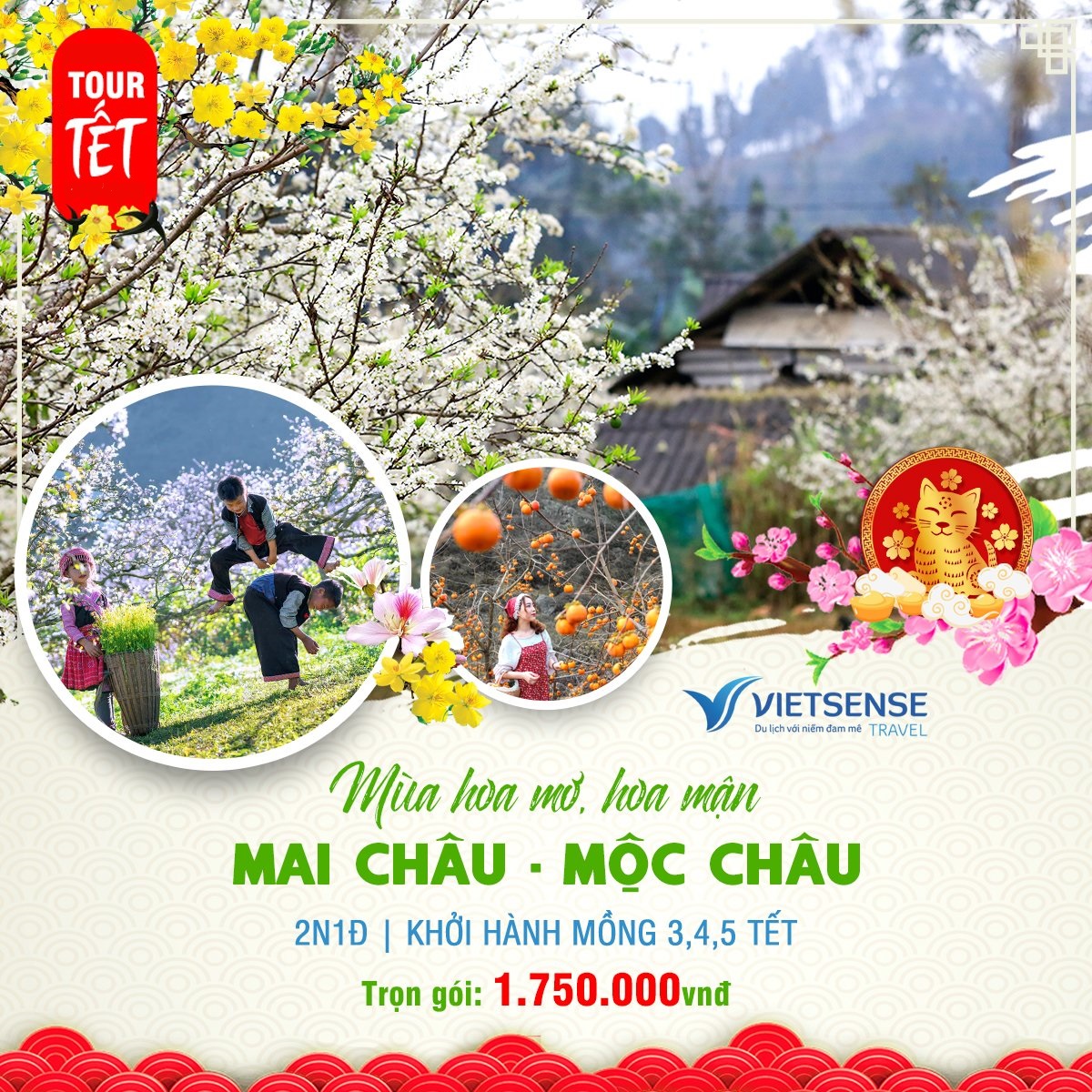 Tour du lịch Tây Đông Bắc tết Nguyên đán