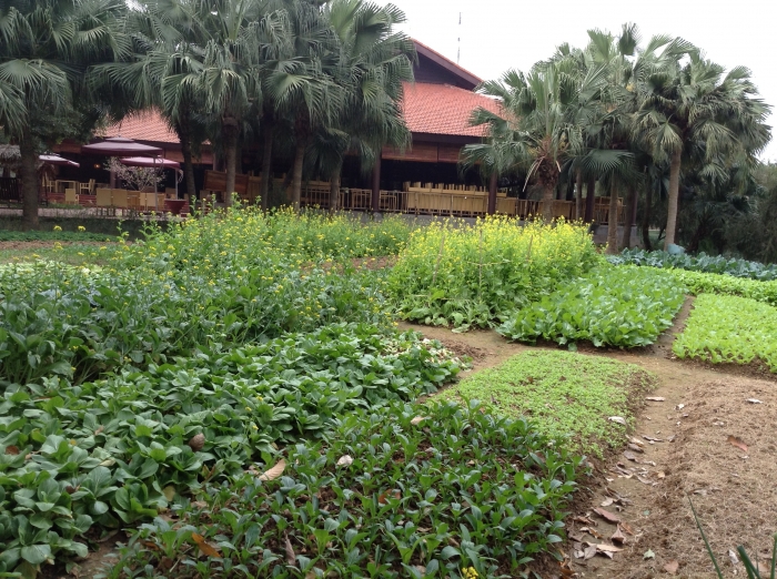 Tour Du Lịch Thảo Viên Resort 2 Ngày