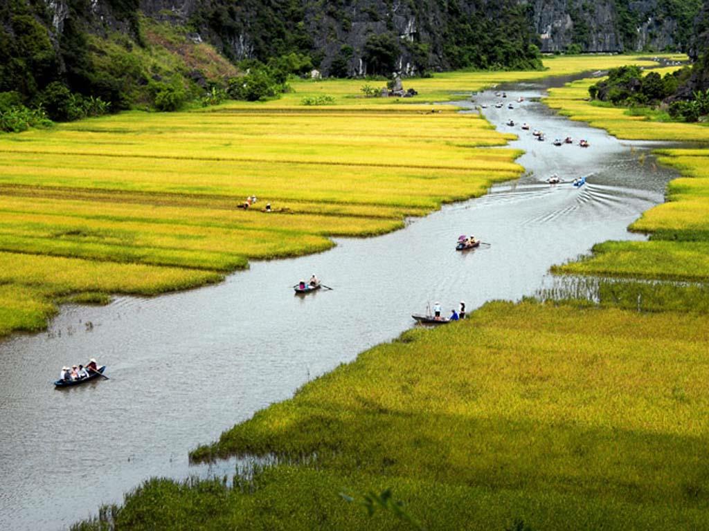 Tour Du Lịch Tràng An Ninh Bình Hang Múa 1 Ngày