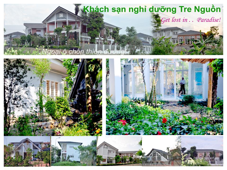 Tour Du Lịch Tre Nguồn Resort 2 Ngày 1 Đêm