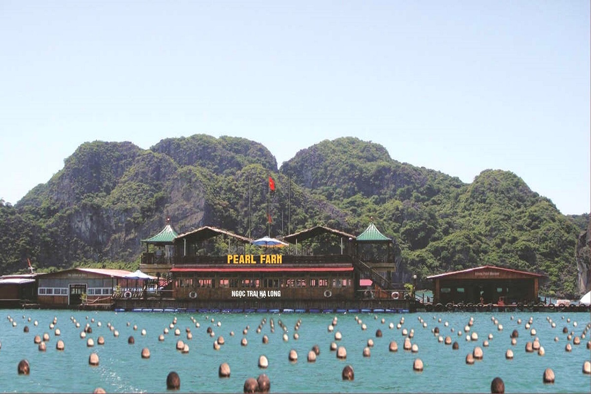 Tour du lịch Tuần Châu – Hạ Long 2 ngày