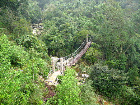 Tour Du Lịch V Resort 2 ngày 1 đêm