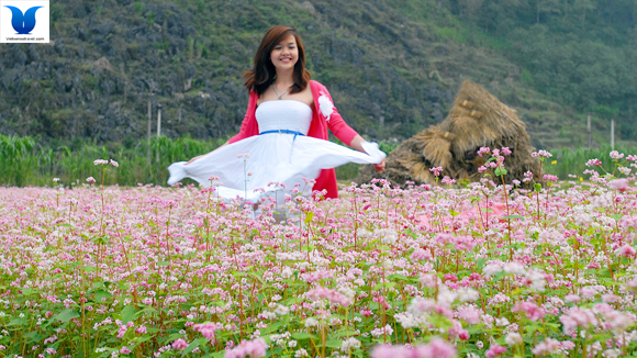 Tour Du Lịch Vòng Cung Đông Bắc 5 Ngày 4 Đêm