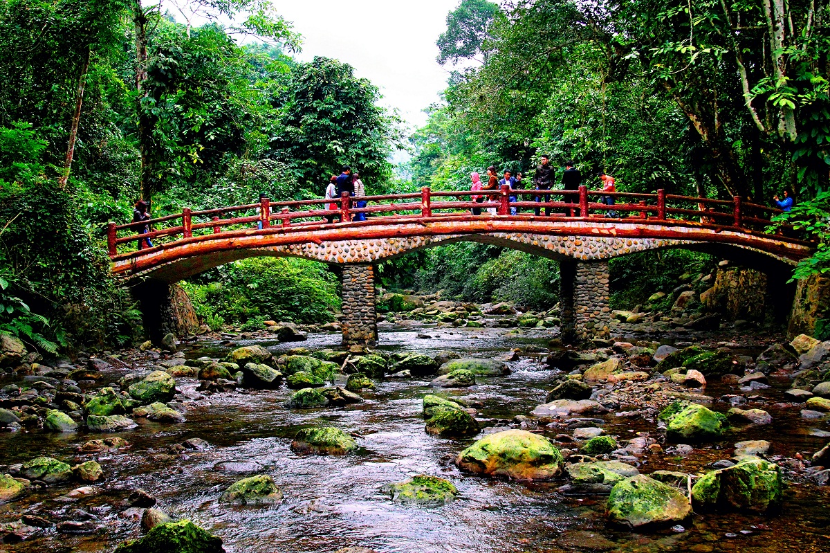Tour Du Lịch Vườn Quốc Gia Xuân Sơn - Đảo Ngọc Xanh - 2 Ngày