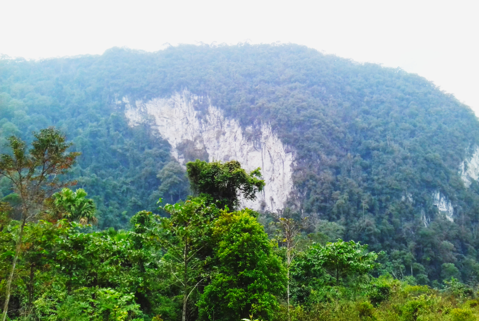 Tour Du Lịch Vườn Quốc Gia Xuân Sơn - Đảo Ngọc Xanh - 2 Ngày