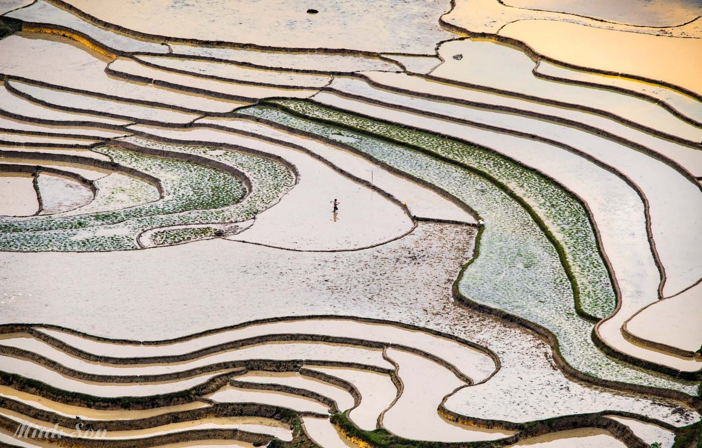 Tour Du lịch Y Tý Mùa Nước Đổ 3 Ngày