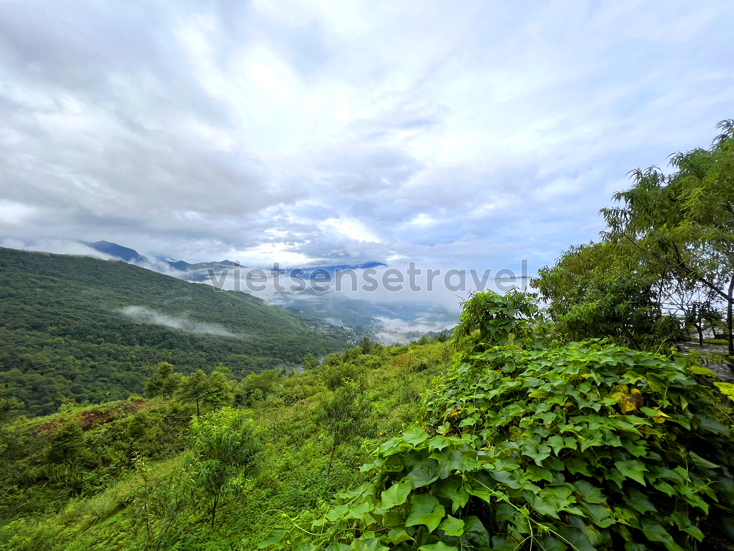 Tour Du lịch Y Tý Mùa Nước Đổ 3 Ngày