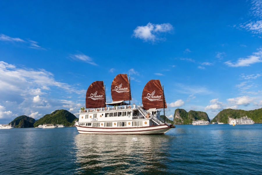 Tour Du Thuyền Lavender 2 Ngày 1 Đêm