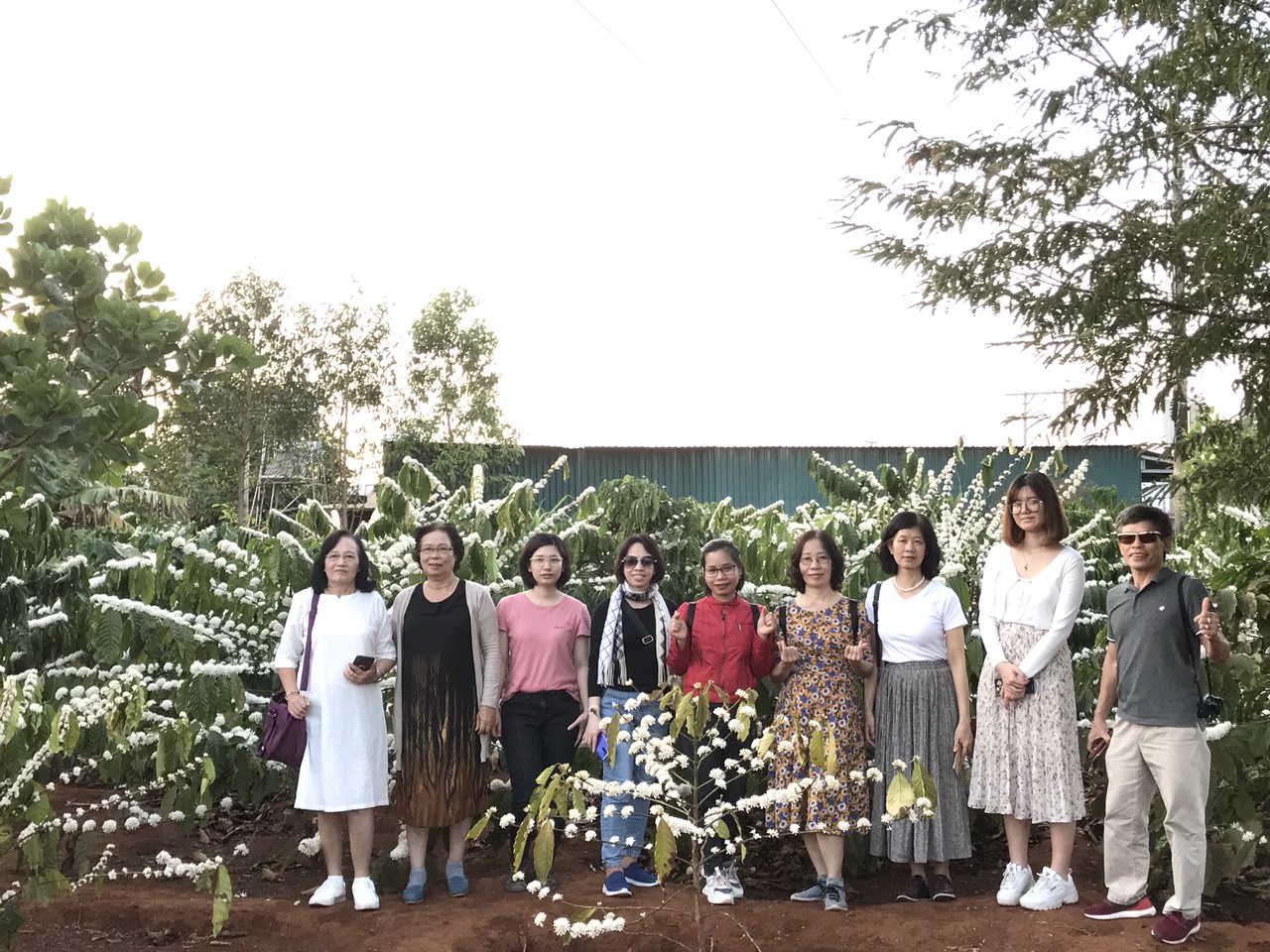 Tour du xuân Năm Mới
