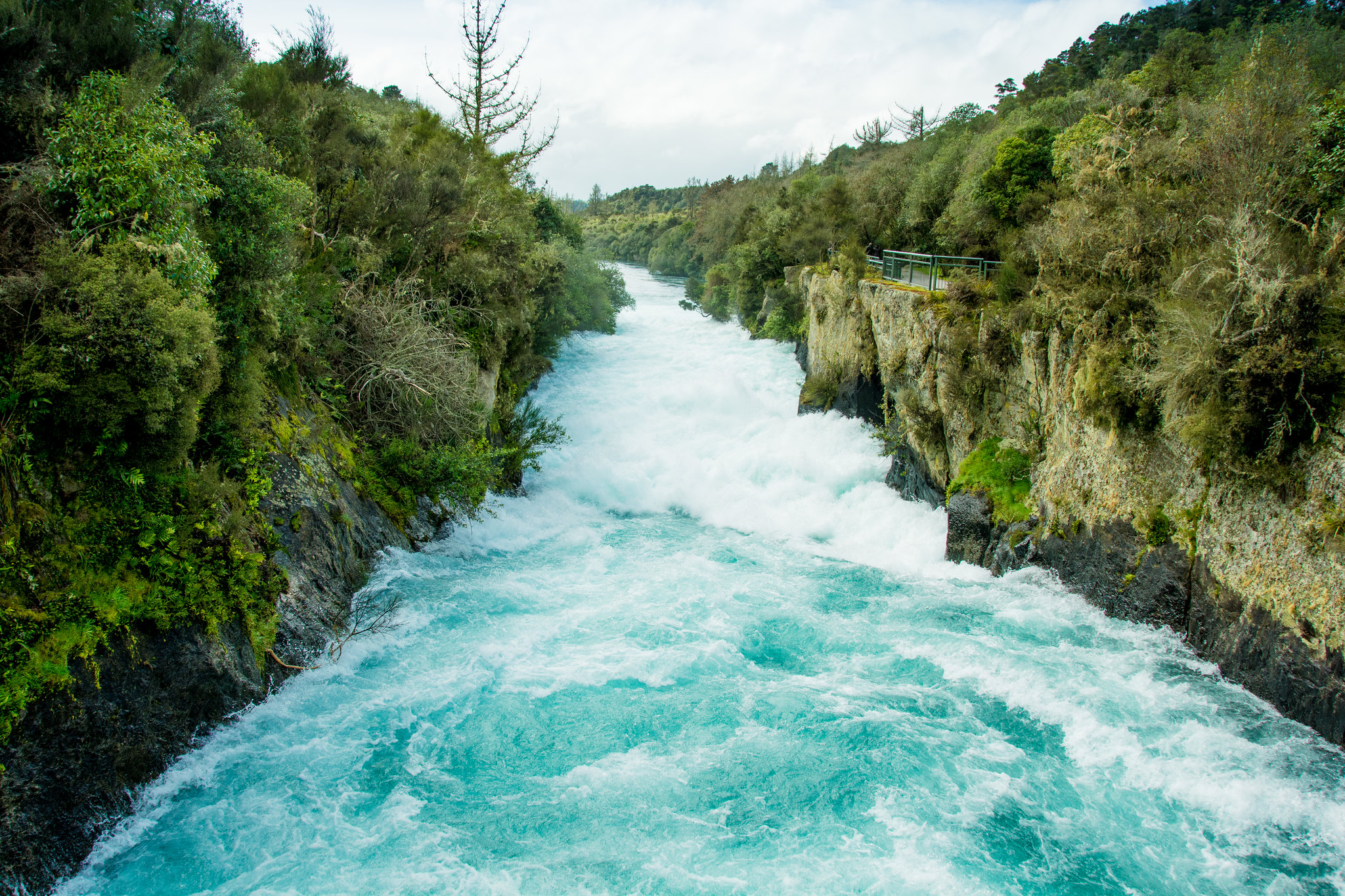 Tour du xuân New Zealand