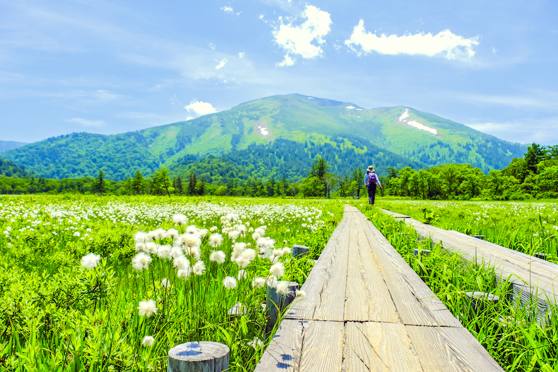 Tour Fukushima Nikko Tokyo Niigata 6 ngày 5 đêm