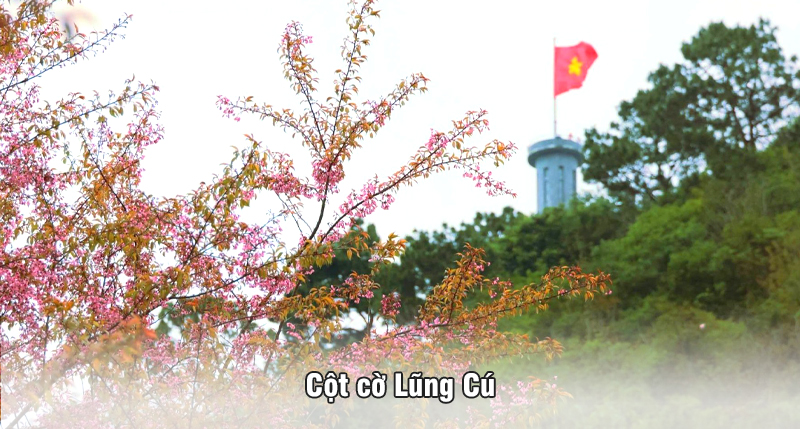 Tour Hà Giang Lô Lô Chải Lũng Cú Nho Quế Đồng Văn 3 Ngày