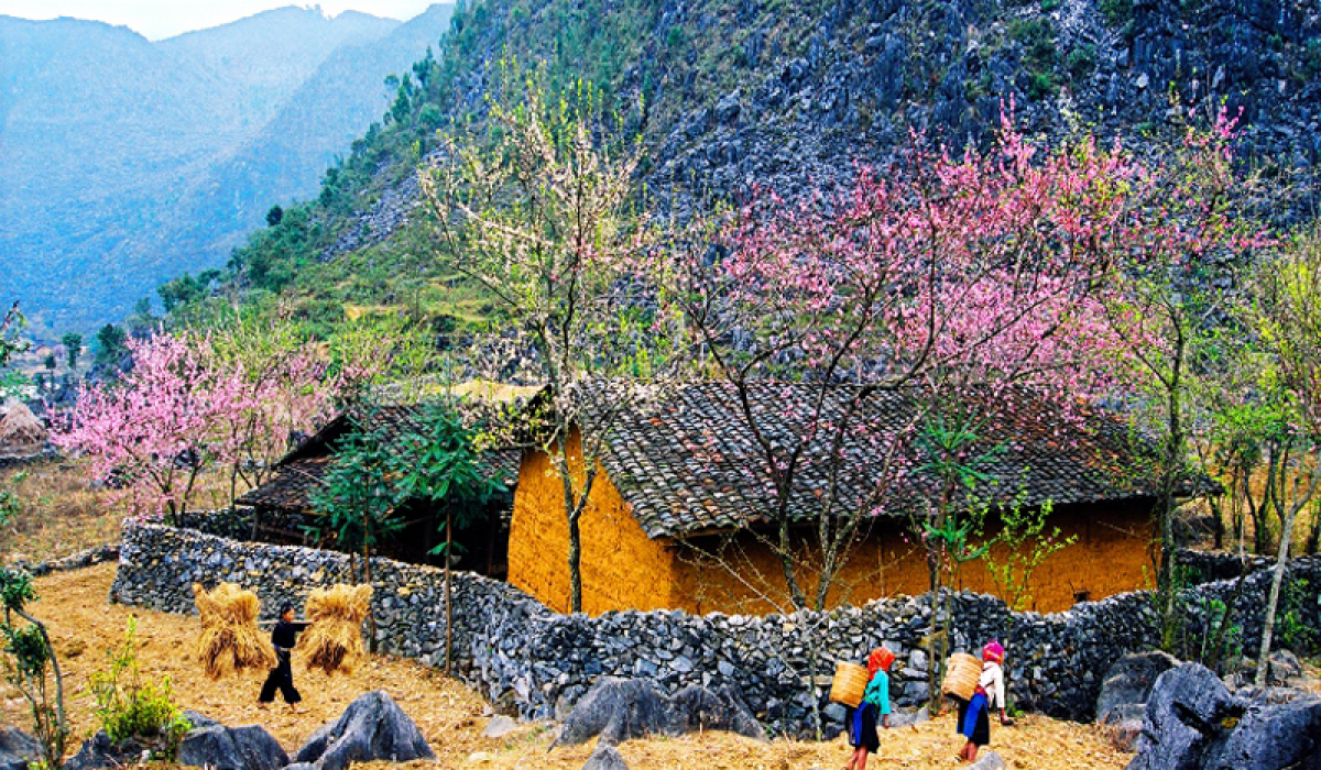 Tour Tết Nguyên Đán Hà Giang