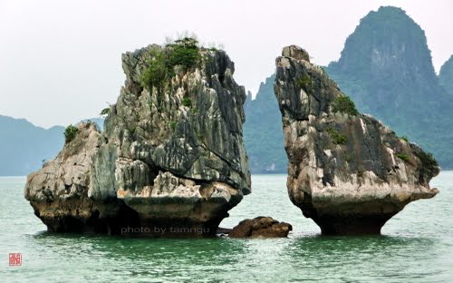 Tour Hạ Long 3 ngày khởi hành từ TP Hồ Chí Minh