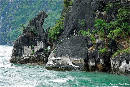 Tour Hạ Long 3 ngày khởi hành từ TP Hồ Chí Minh