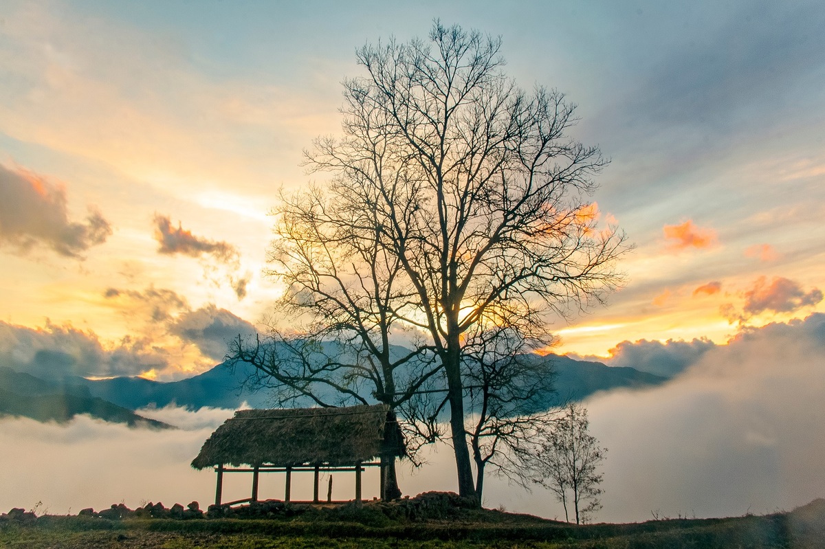 Tour du lịch Hà Nội - Lào Cai - Y Tý - Lảo Thẩn - Sapa