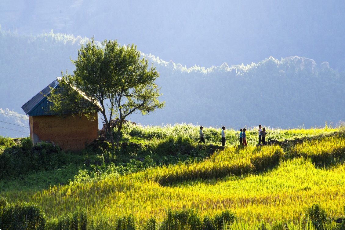 Tour du lịch Hà Nội - Lào Cai - Y Tý - Lảo Thẩn - Sapa