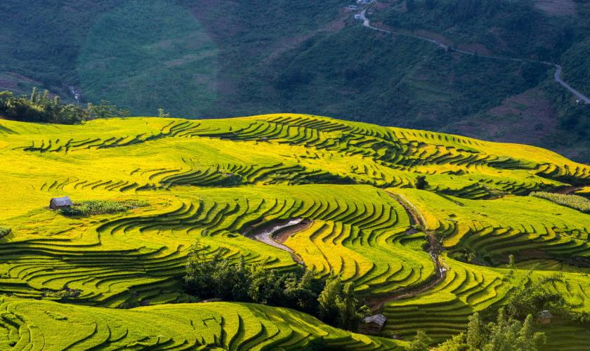 Tour Hà Nội- Mù Cang Chải- Sapa 4 ngày 3 Đêm