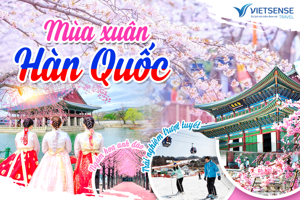 Tour Hàn Quốc mùa hoa anh đào