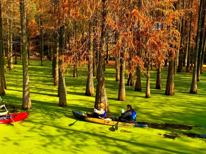 Tour Hàng Châu - Thượng Hải - Ô Trấn - Hồ Thanh Sơn 6N5Đ