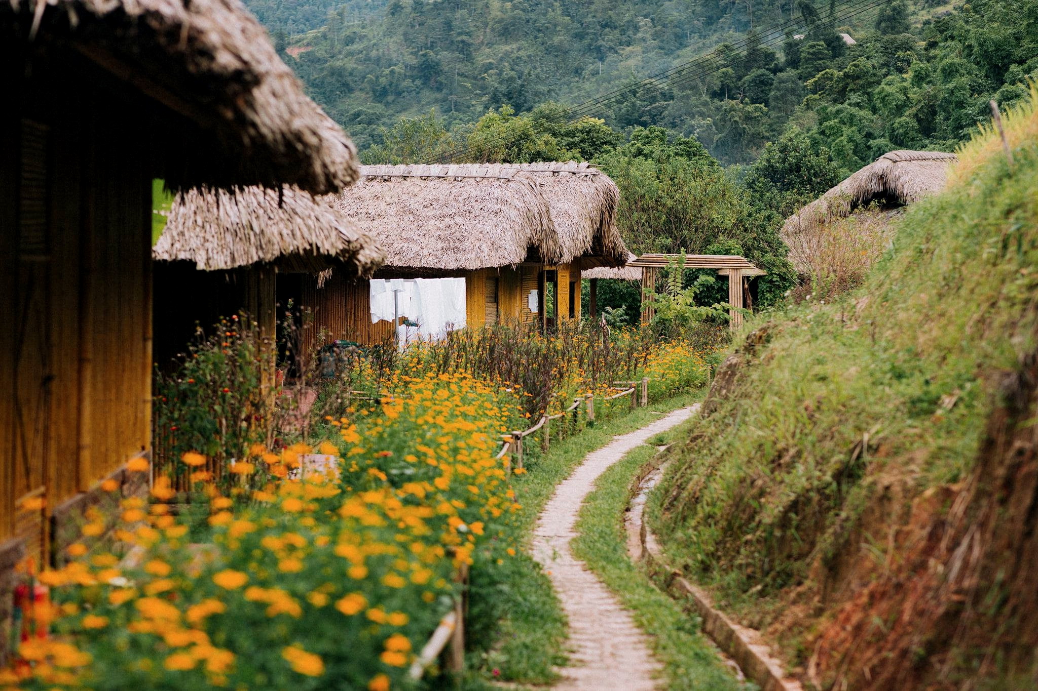 Tour Hồ Chí Minh - Hà Giang