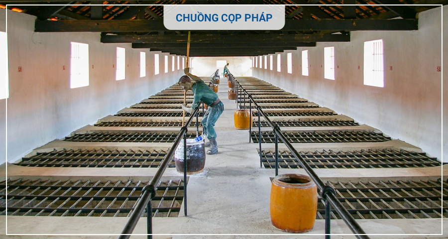 Tour Huyền Thoại Côn Đảo di tích Địa ngục trần gian 3 ngày 2 đêm