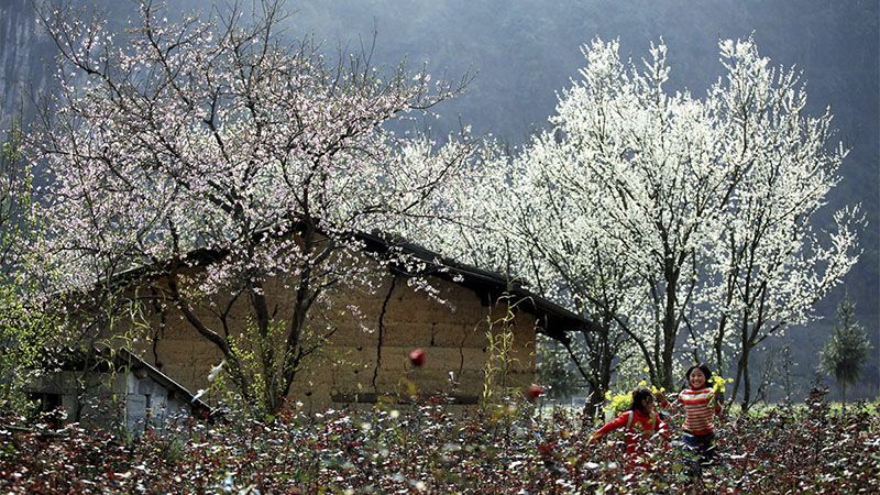 Tour Lễ Hội Hoa Ban Điện Biên 3 ngày 2 đêm