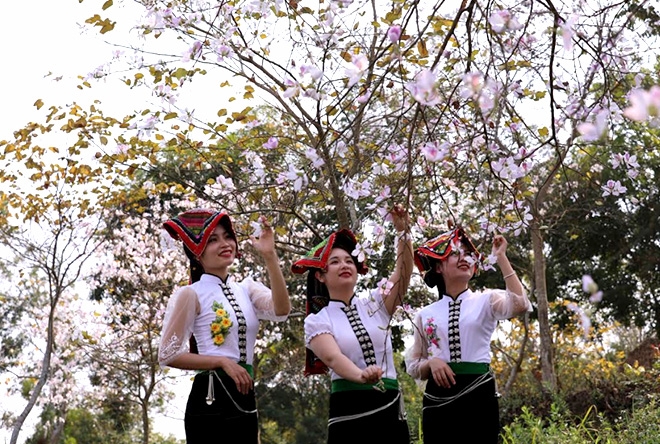 Tour Lễ Hội Hoa Ban Điện Biên 3 ngày 2 đêm