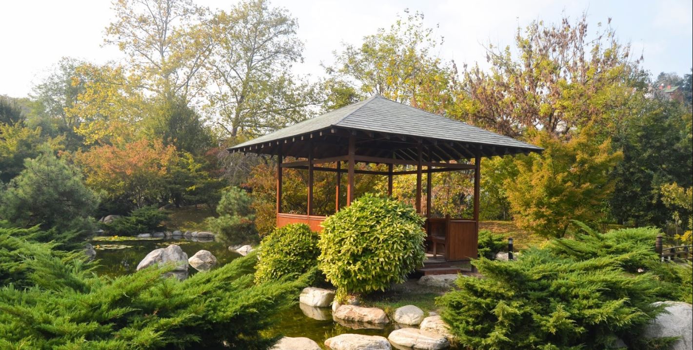 Tour Lễ hội hoa Tulip Istanbul