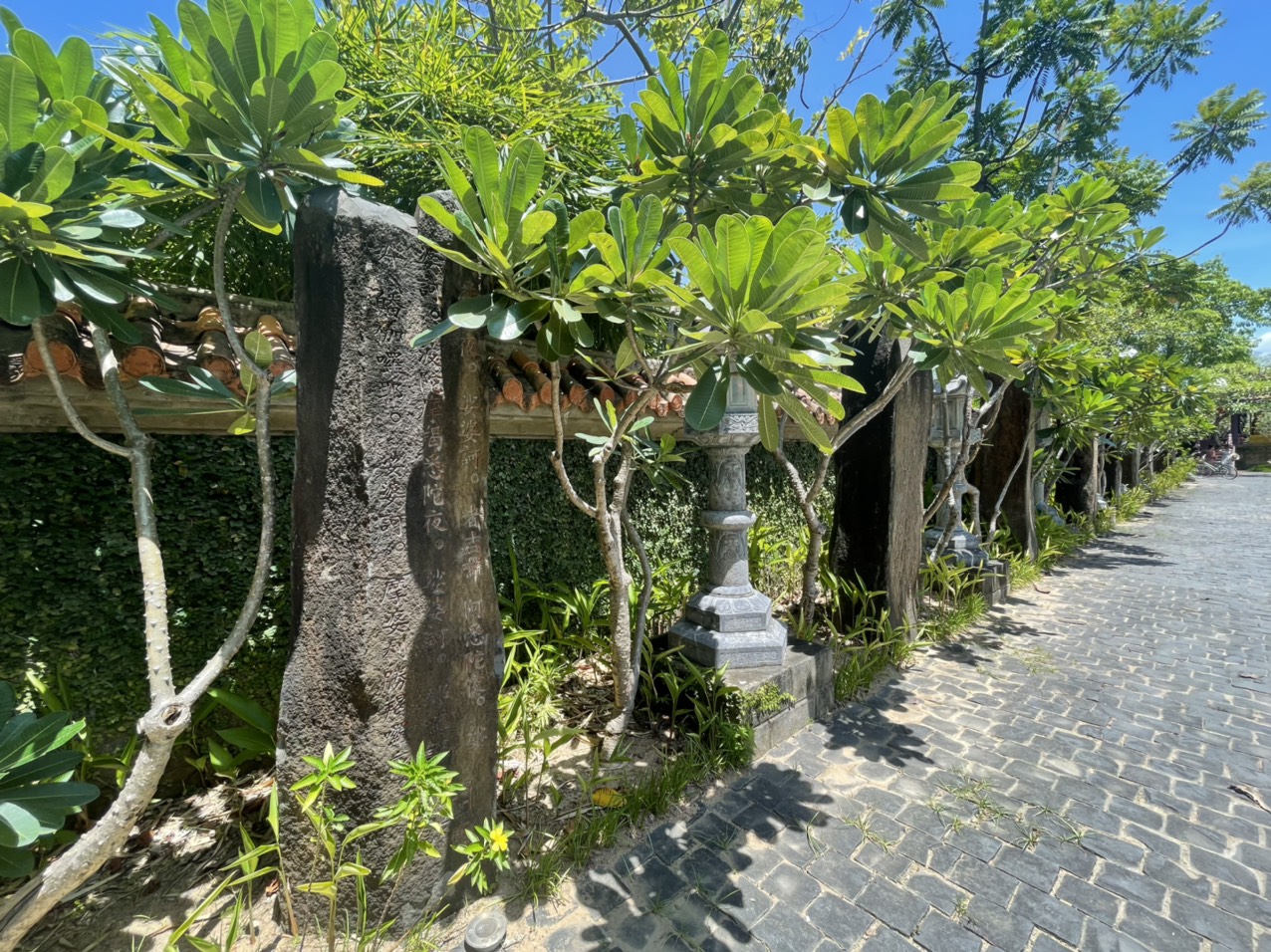 Tour MICE Quy Nhơn 3 ngày