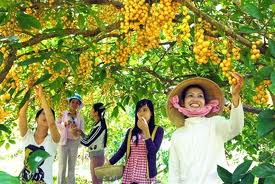 Tour Miền Tây 3 ngày 2 đêm khởi hành từ TP Hồ Chí Minh