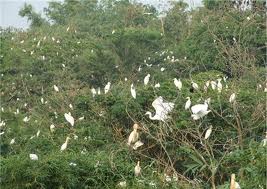 Tour Miền Tây 3 ngày 2 đêm khởi hành từ TP Hồ Chí Minh