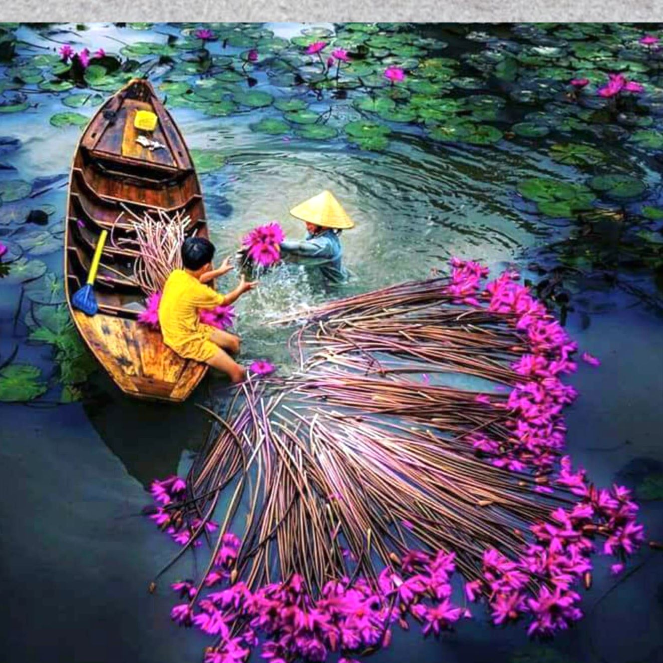 Tour Miền Tây Tết Dương Lịch 2025