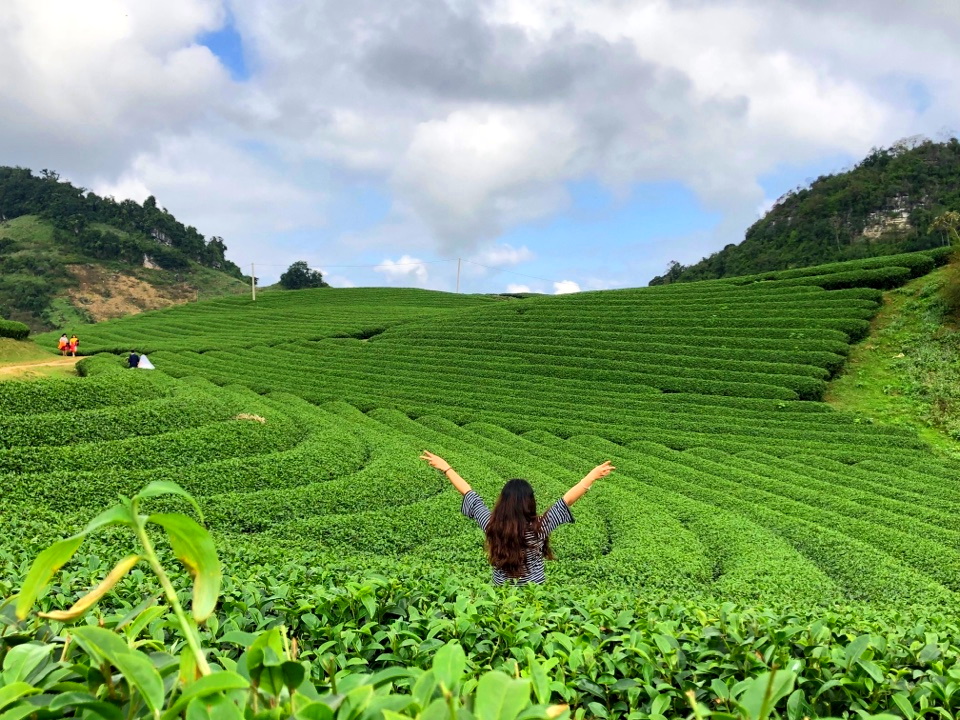 Tour Mộc châu - Tà Xùa Thiên đường mây và hoa 3 Ngày 2 Đêm