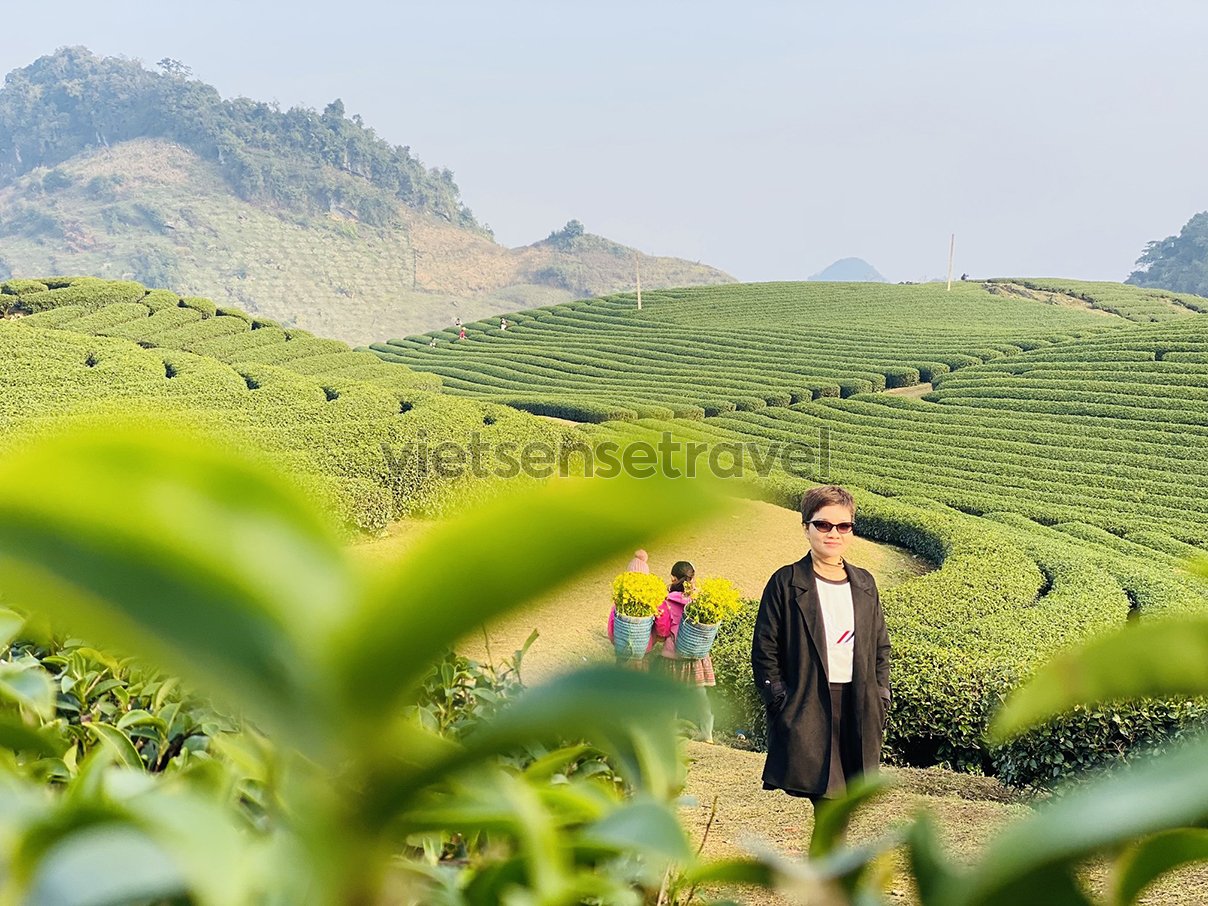 Tour Mộc Châu 2 Ngày 1 Đêm