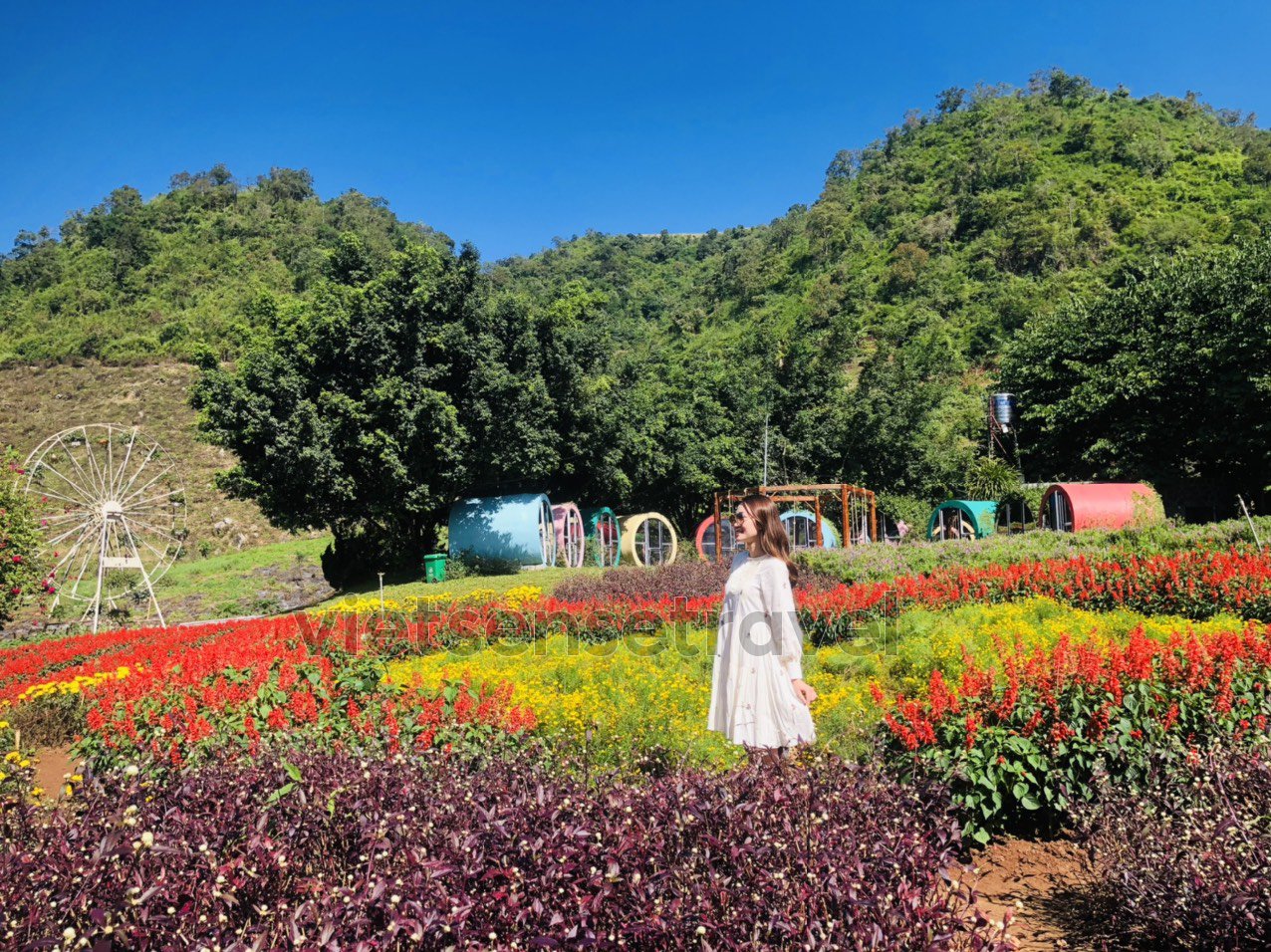 Tour Mộc Châu 2 Ngày 1 Đêm