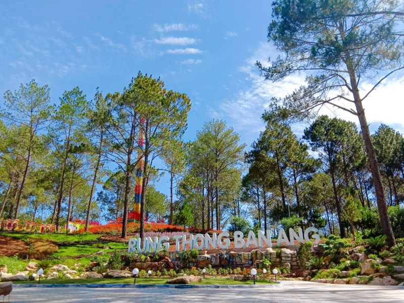 Tour Lễ 2/9 Mộc Châu đón Tết Độc Lập Giá Tốt 2025
