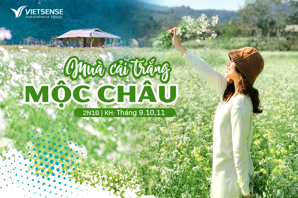 Tour Mộc Châu Ngắm Hoa Cải Trắng
