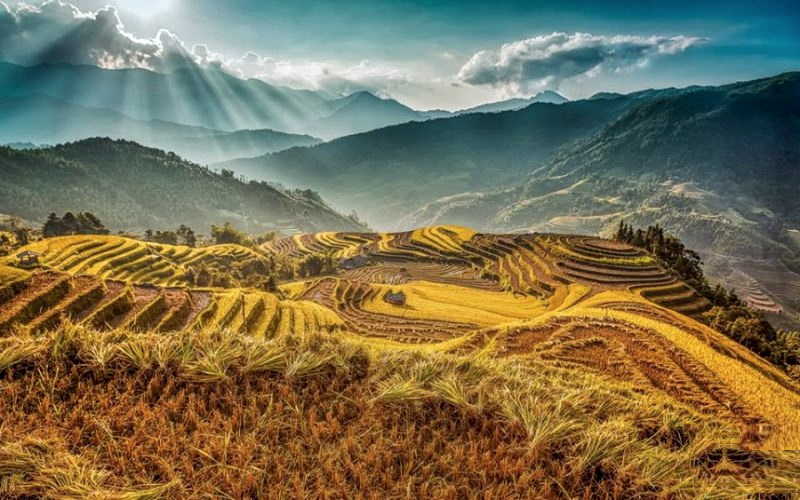Tour Mù Căng Chải Mùa Nước Đổ