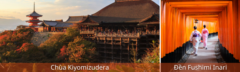 Tour mùa thu Nhật Bản ngắm lá vàng lá đỏ