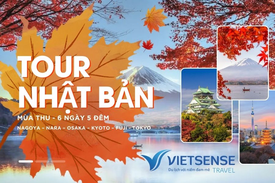 Tour mùa thu Nhật Bản ngắm lá vàng lá đỏ
