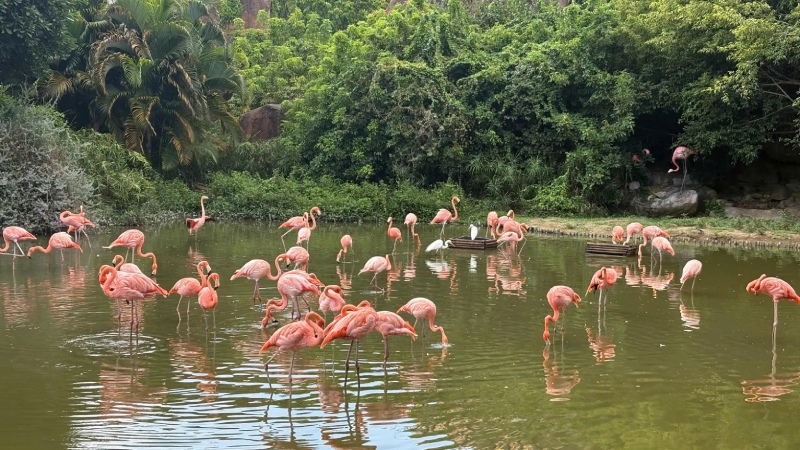 Tour Nha Trang Vinpearl Land 4 ngày 3 đêm