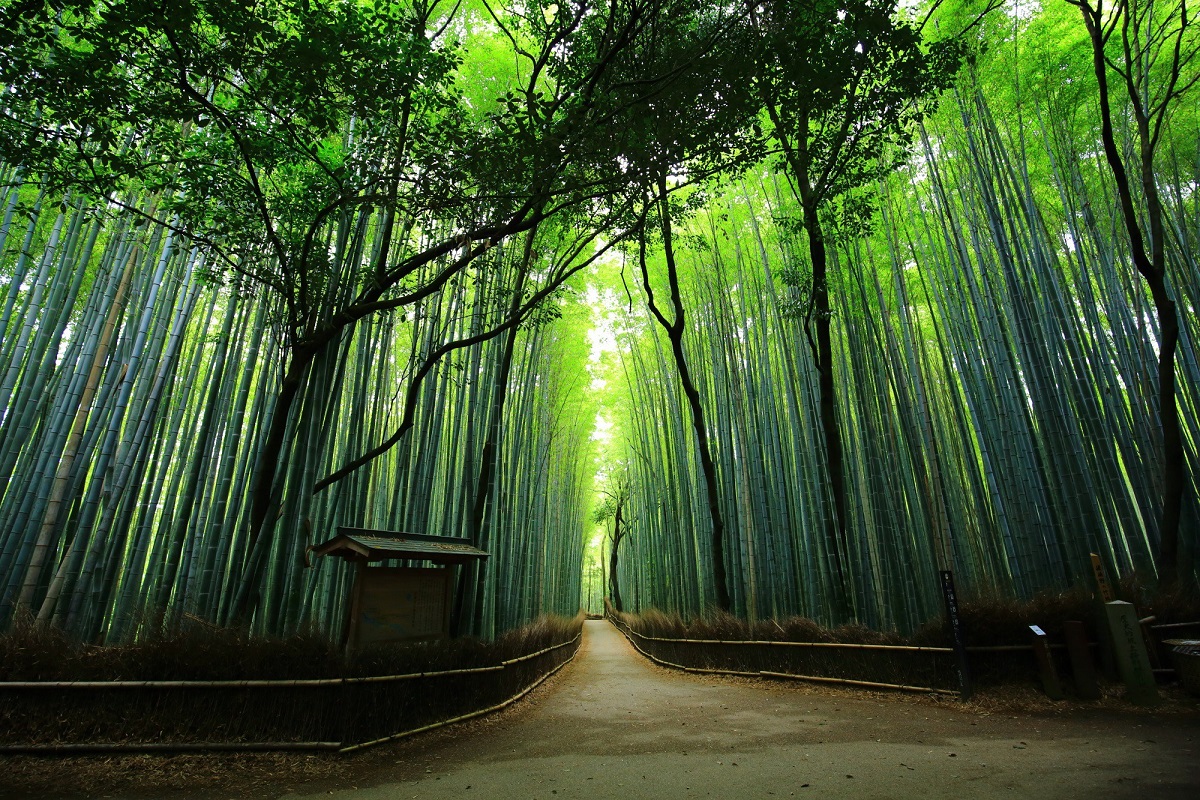 Tour Nhật Bản 6 ngày