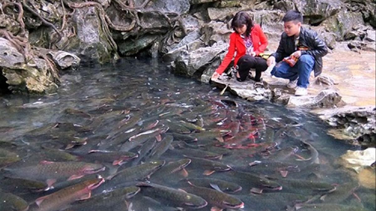 Tour Pù Luông - Suối Cá Thần 2 Ngày 1 Đêm